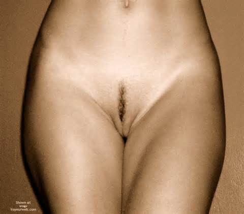 ... landing strip in sepia, little hair pussy, artistic nudes, landing