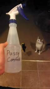 Have to keep them pussys under control!