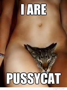 are pussycat