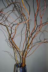 Curly Willow Arrangements