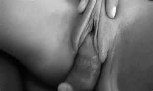 GIFPicture- Cock teasing pussy