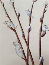 Pussy Willow | The Pringle Herbarium