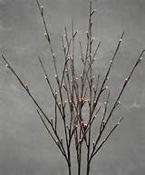 Willow LED Lighted Branch - Set of Three | For the Home | Pinterest