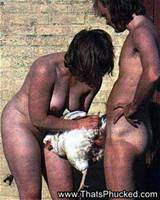 Fuck A Chicken