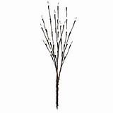 ... Home Decor > Home Accents > Pussy Willow LED Light Branches, Set of 3